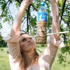 Pułapka z butelki? Zrób karmnik lub poidło! Prawo i alternatywy