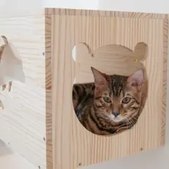 Drapak dla kota DIY: Zbuduj idealny, tani i bezpieczny drapak!