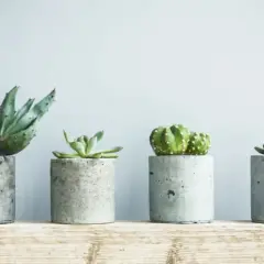 Jak zrobić ozdoby z betonu? Twój przewodnik DIY krok po kroku