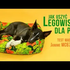 Jak uszyć legowisko dla psa? Krok po kroku do komfortu i oszczędności