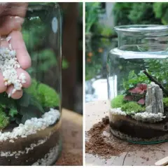 Stwórz magiczne dekoracje w słoiku: Od DIY do "lasu w słoiku"