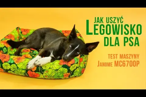 Jak uszyć legowisko dla psa? Krok po kroku do komfortu i oszczędności