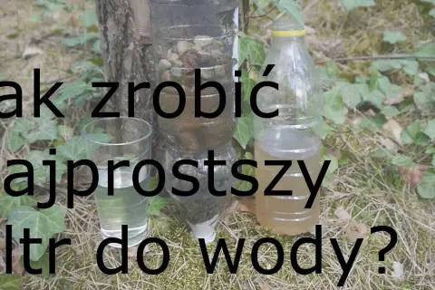 Jak zrobić filtr wody z butelki? Poradnik krok po kroku na kryzys