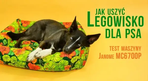 Jak uszyć legowisko dla psa? Krok po kroku do komfortu i oszczędności