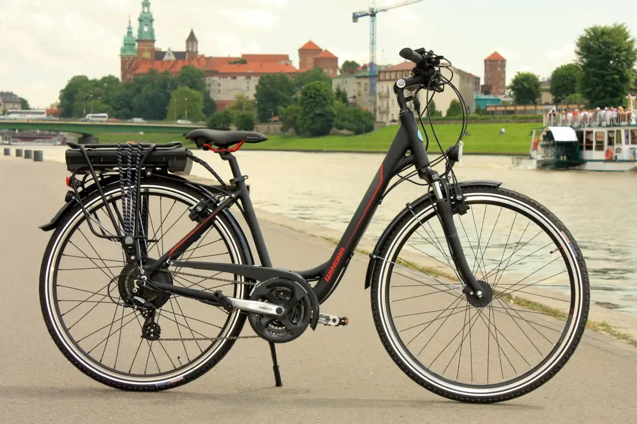 r&oacute;żne typy rower&oacute;w do konwersji na elektryczny