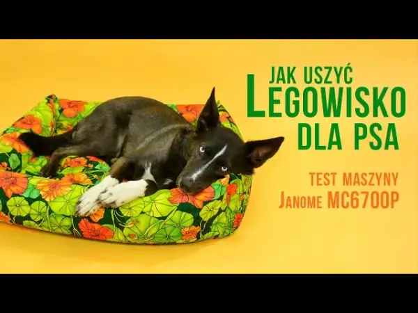 Jak uszyć legowisko dla psa? Krok po kroku do komfortu i oszczędności